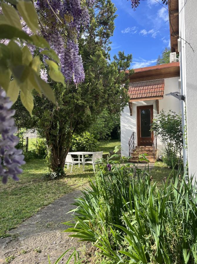 Les Cantinieres - Bourgoin Jallieu - Jardin Prive Apartment *