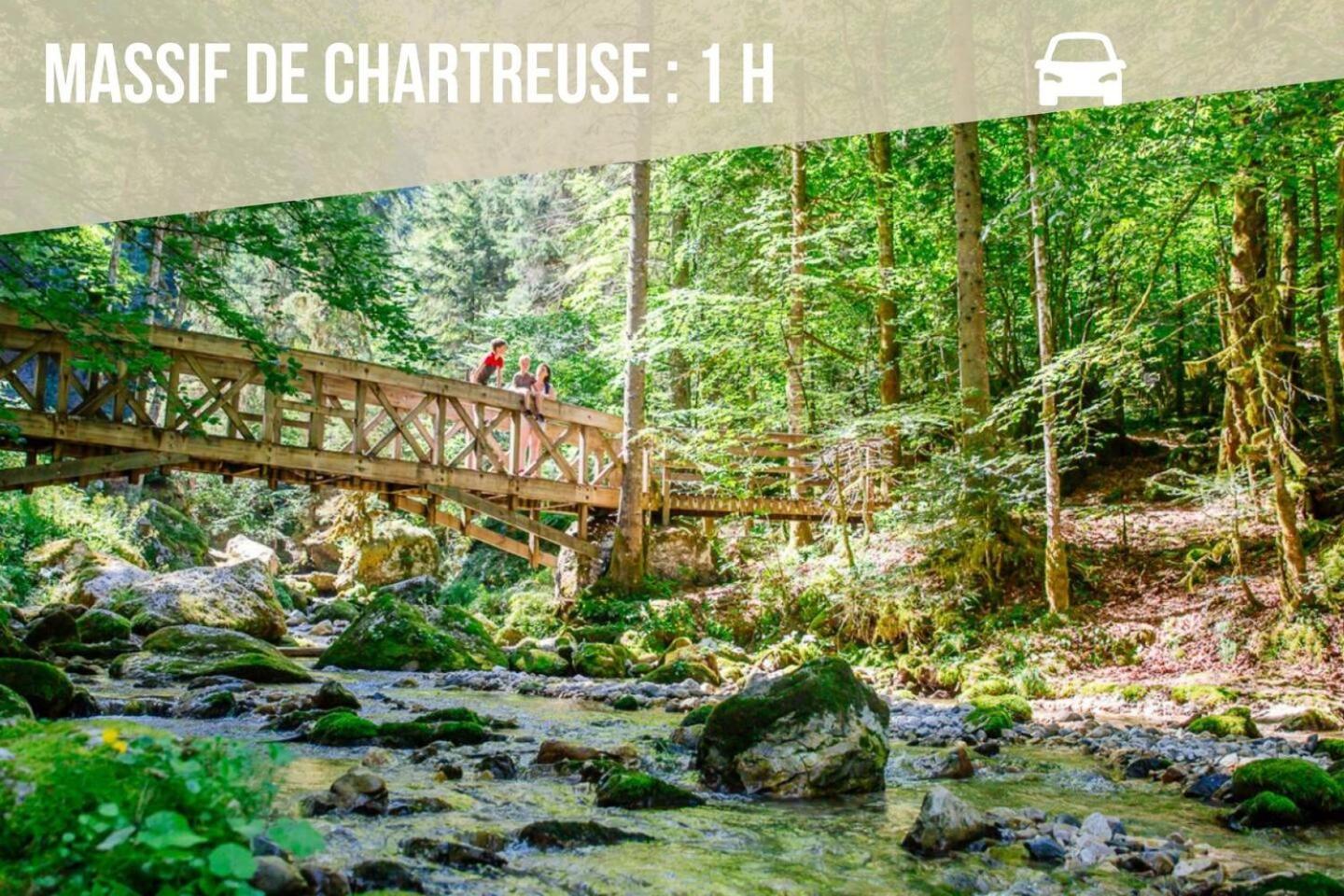 Les Cantinieres - Bourgoin Jallieu - Jardin Prive Apartment Ruy-Montceau